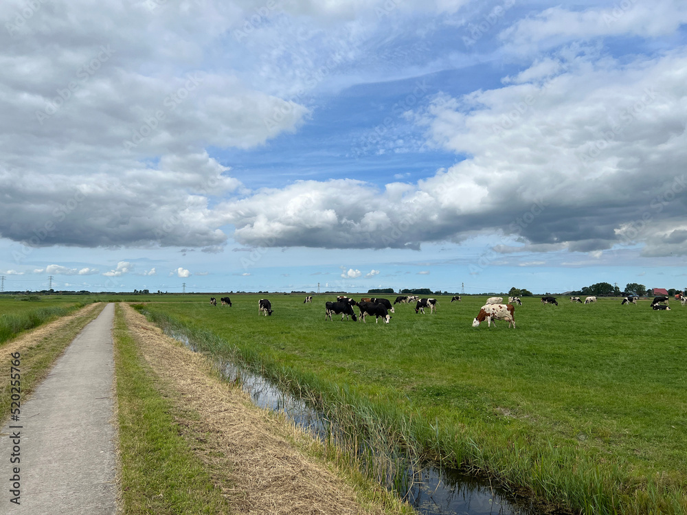 Dark clouds above the cows and farmland