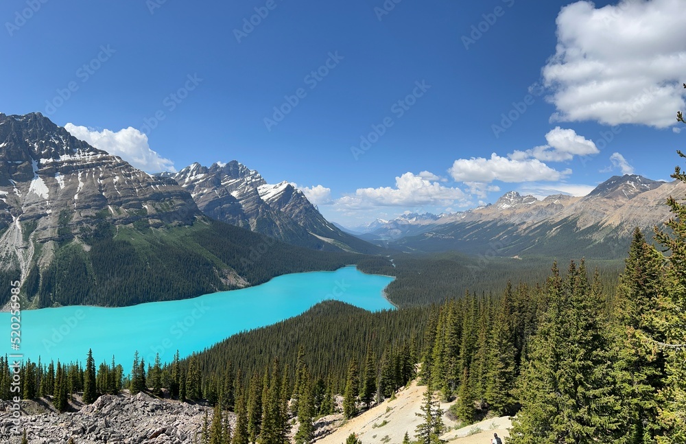 Peyto Lake of Banff National Park in Canada. Blue color alpine lake in  Alberta, Canada. 