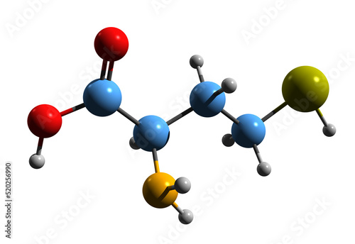  3D image of Homocysteine skeletal formula - molecular chemical structure of 2-Amino-4-sulfanylbutanoic acid isolated on white background
 photo