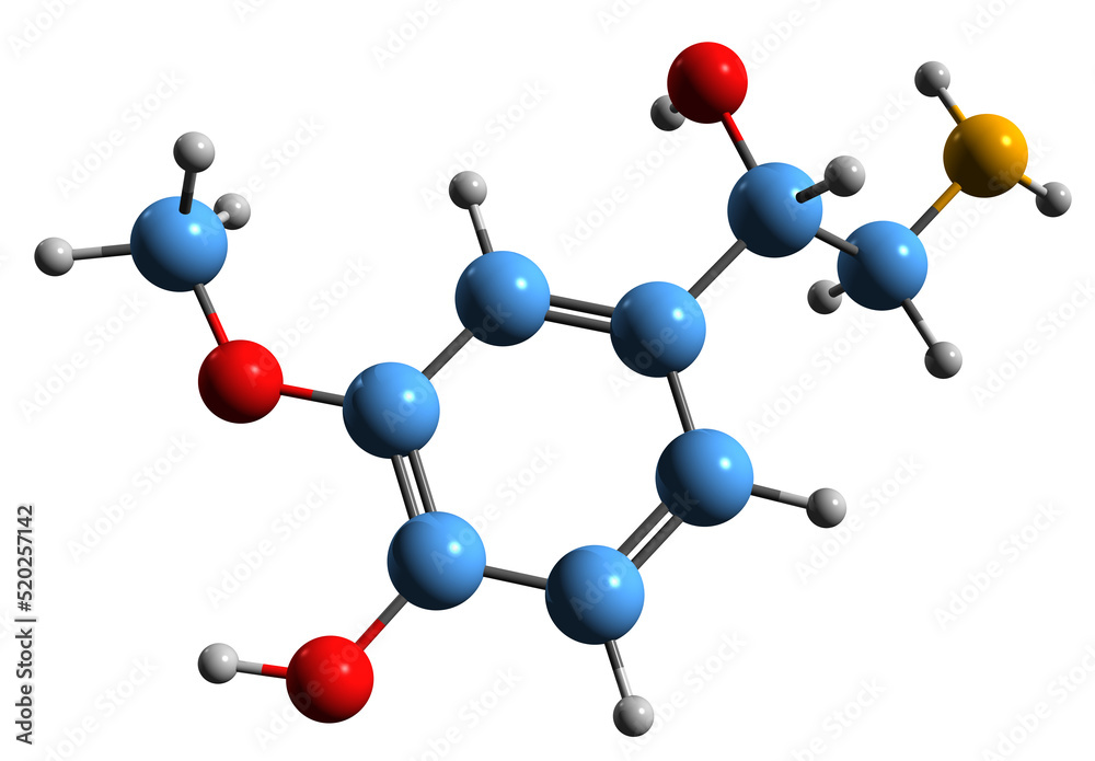 3D image of Normetanephrine skeletal formula - molecular chemical structure of metabolite of norepinephrine isolated on white background
3D image of Normetanephrine skeletal formula - molecular chemical structure of metabolite of norepinephrine isolated on white background
