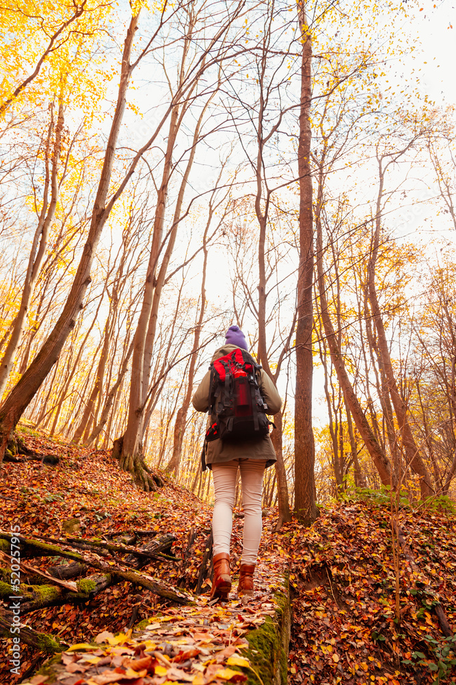 Woman hiking in the forest on sunny autumn day