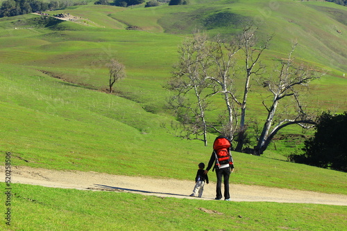 walking in the park