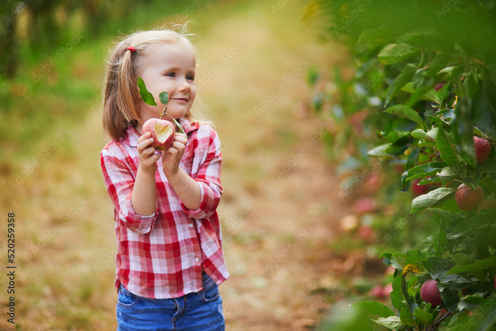 Preschooler girl in red and white shirt holding an apple with heart shape cut on it Preschooler girl in red and white shirt holding an apple with heart shape cut on it
