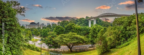 Picture of Henderson Wave bridge in Singapore at sunset photo