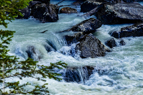 Yoho River Yoho National Park British Columbia Canada