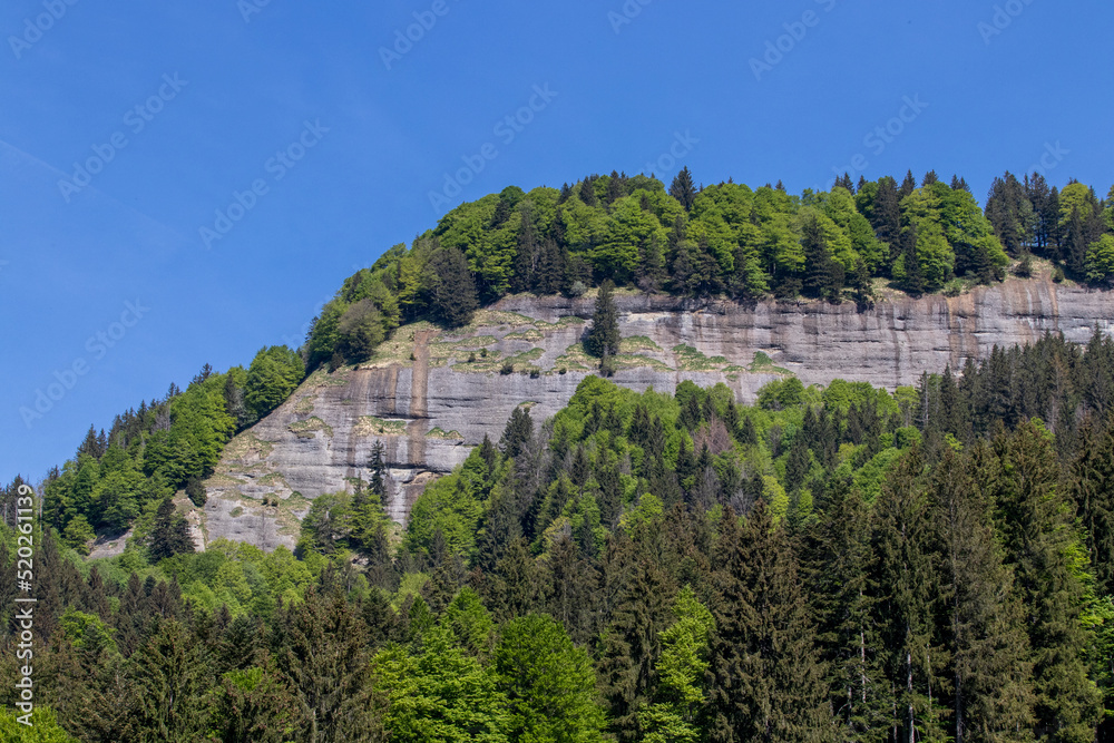 A rock covered by trees under the blue sky