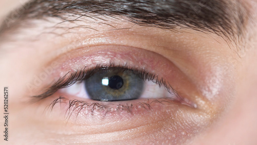 Close-up of human eyes. Beautiful eye of young man with pupil shrinking from light. Human eye gray and brown shade with attractive eyebrows and eyelashes