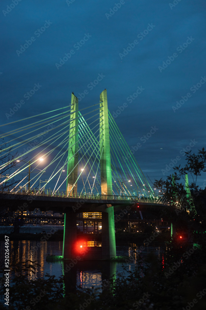 Obraz premium tillikum bridge 