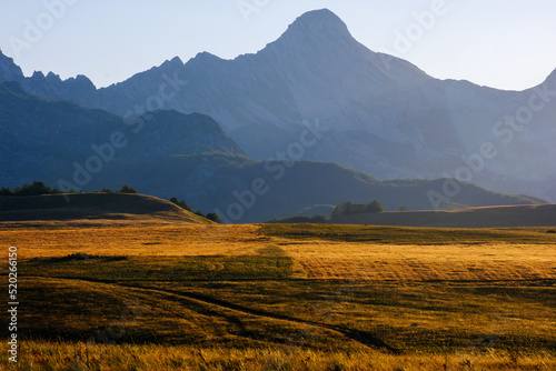 Mountain landscape with golden grass late afternoon sunset