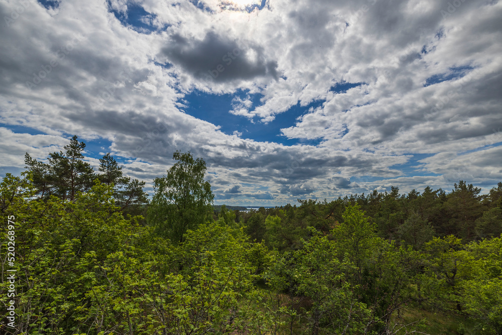 Amazing top view of green summer landscape with lake against blue sky and gray clouds. Sweden.