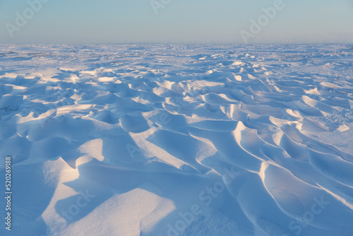 Snow-covered tundra. Winter arctic landscape. Cold frosty weather. On the surface of the snow, there are sastrugi (patterns formed by erosion of snow by wind). The harsh climate of the polar region.