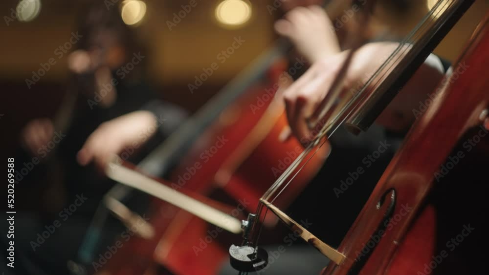 symphonic orchestra is performing classical music concert on scene of opera house, closeup view