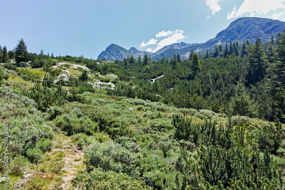 Landscape of Pirin Mountain mountain near Begovitsa hut, Bulgaria