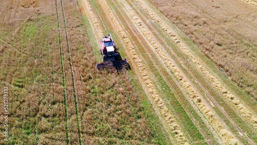 Aerial view combine harvester harvesting on the field. Harvesting wheat. Harvester machine working in field.