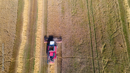Aerial view combine harvester harvesting on the field. Harvesting wheat. Harvester machine working in field.