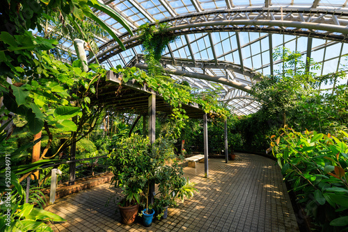 京都植物園