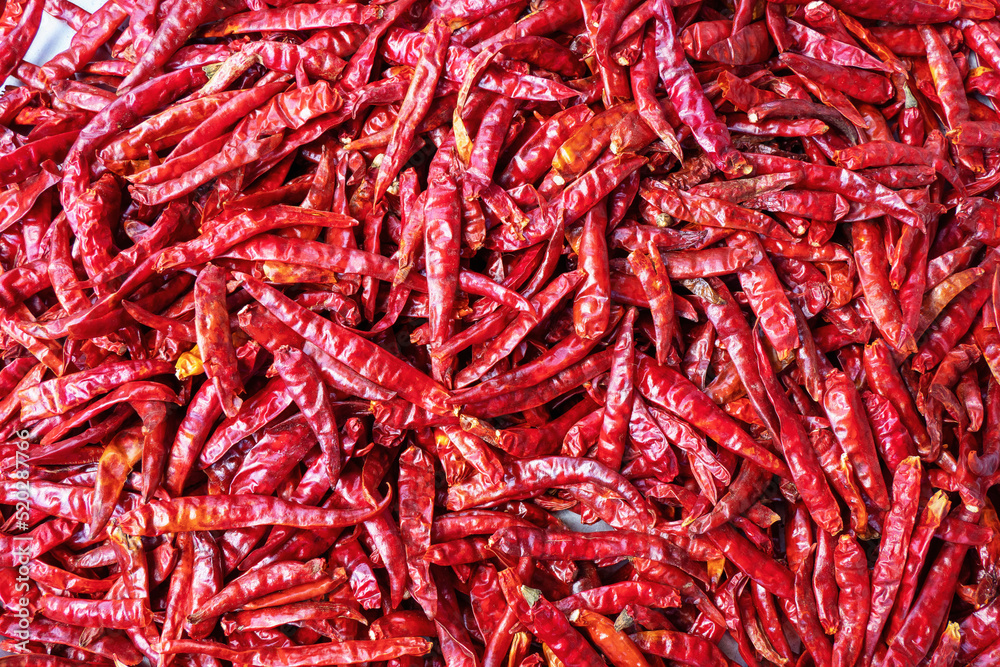 Red chili pepper as background Red chili pepper as background