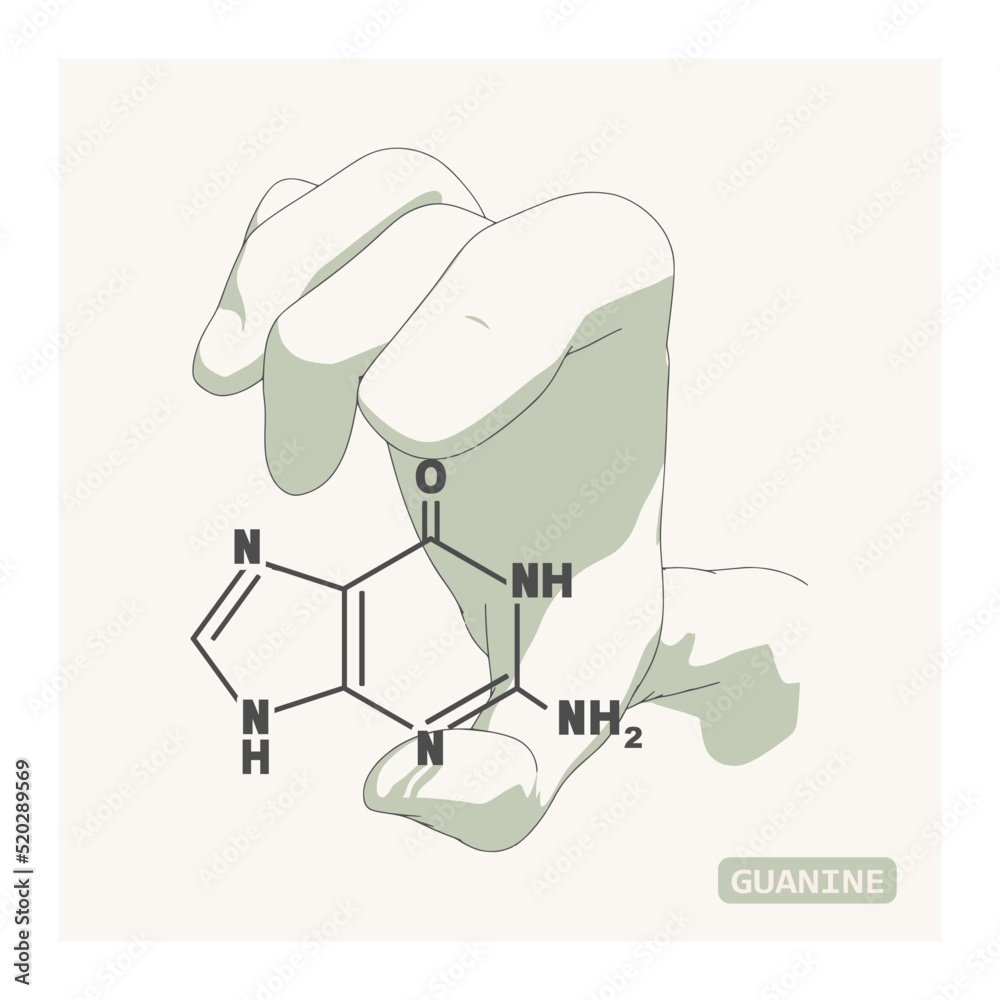Hand holding chemical molecular formula of guanine - DNA and RNA nitrogen base