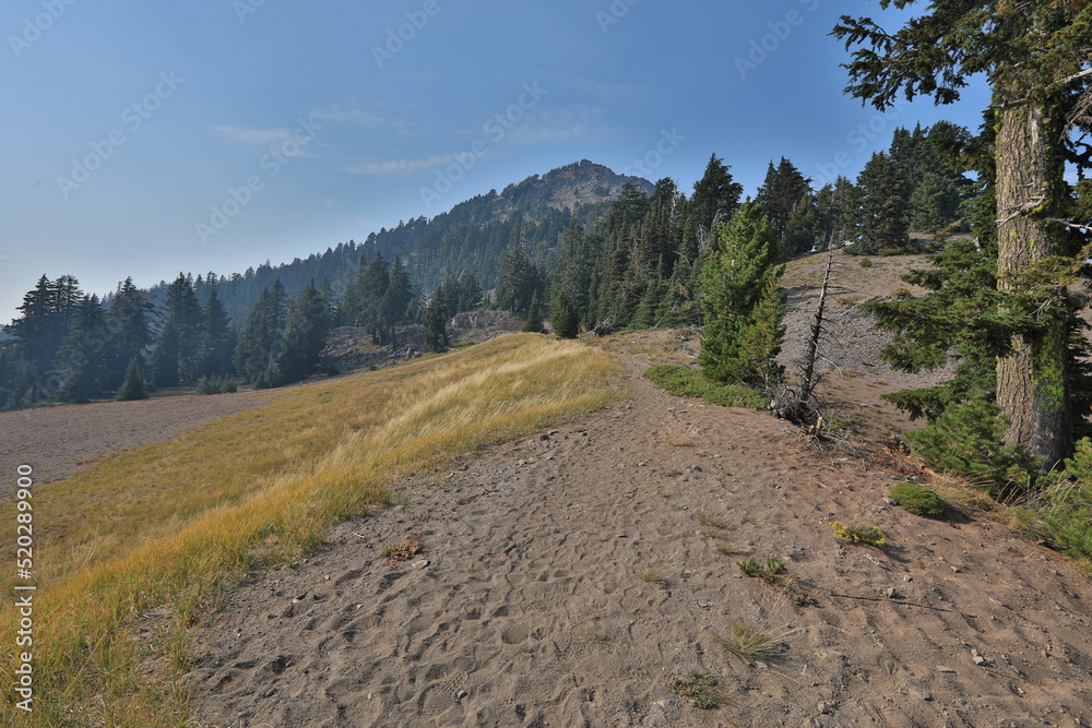 Fototapeta premium Beautiful PCT Trail in Oregon Section