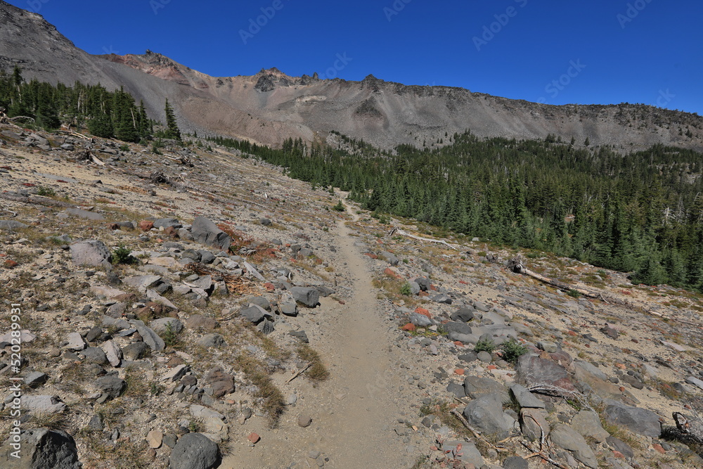 Beautiful PCT Trail in Oregon Section Beautiful PCT Trail in Oregon Section