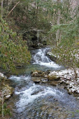 Rushing river in Forrest with snowfall