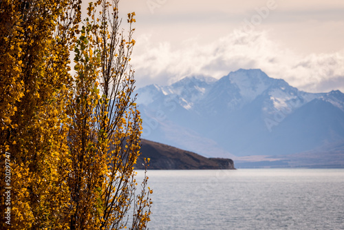 Autumn fall trees in front of lake and mountains, South Island, New Zealand © Andrew