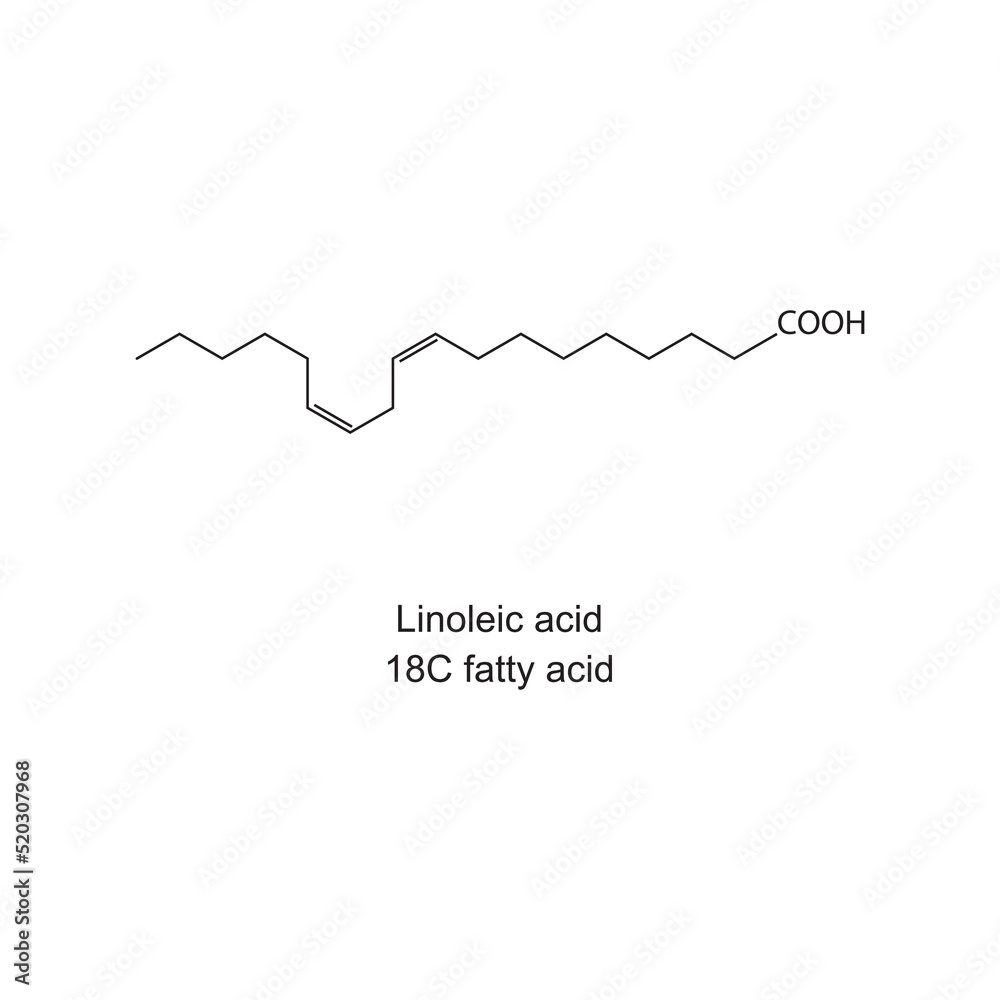 Obraz premium Linoleic acid (18 carbon fatty acid) chemical structure on white background.