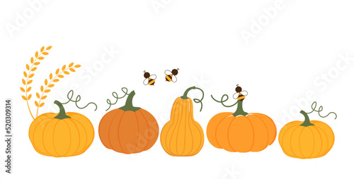 pumpkin set, wheat and bee cartoons icon sign isolated on white background vector illustration.