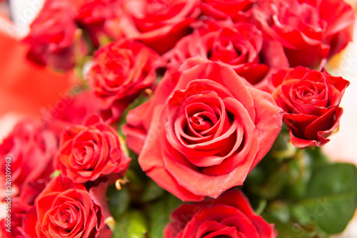 bouquet of red roses © Bartek
