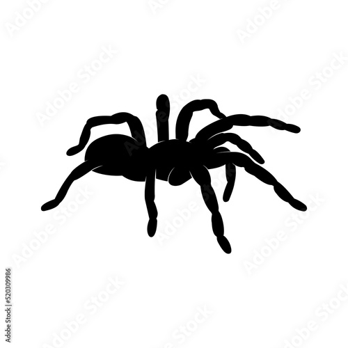 Tarantula Silhouette vector
