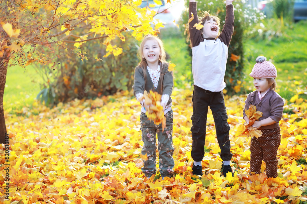 Fototapeta premium Young family on a walk in the autumn park on a sunny day. Happiness to be together.