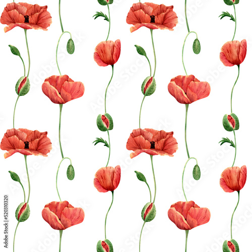 Seamless poppies flowers pattern. Watercolor floral background with botanical poppy wildflower illustration for textile, wallpapers