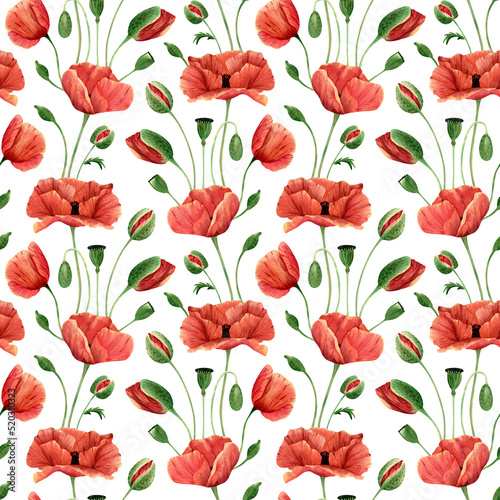 Seamless poppies pattern. Watercolor floral background with poppy wildflower  bud  leaves for textile  wallpapers