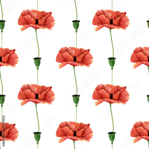 Seamless poppy flowers pattern. Watercolor floral background with poppies wildflower and bud for textile, wallpapers, summer decor