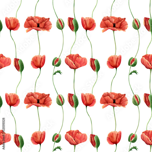 Seamless poppy wildflowers pattern. Watercolor floral background with botanical poppies flowers illustration for textile  wallpapers