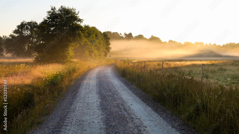 Dirt road in rural landscape with fields both sides. Early morning with mist and fog. Glow from rising sun. Dirt road in rural landscape with fields both sides. Early morning with mist and fog. Glow from rising sun.