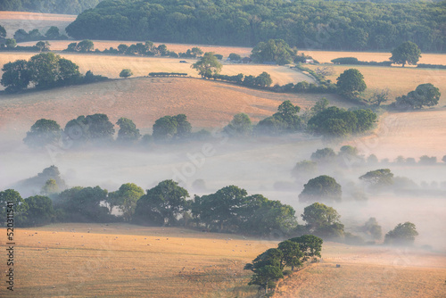 Glorious landscape image of layers of mist rolling over South Downs National Park English countryside during misty Summer sunrise photo