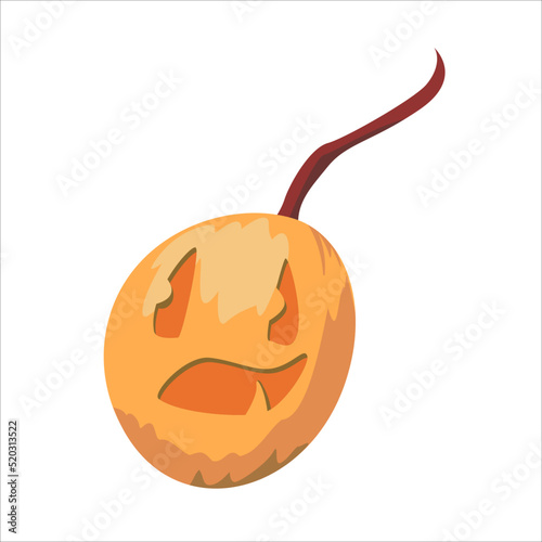 jack-o-lantern Halloween pumpkins. Smilling pumpkin. Flat isolated vector