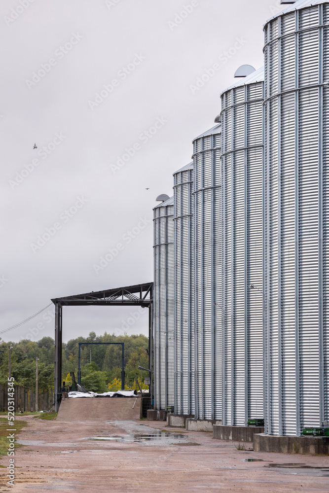 Galvanized steel silos for grain storage. Access road for unloading wheeled grain trucks.