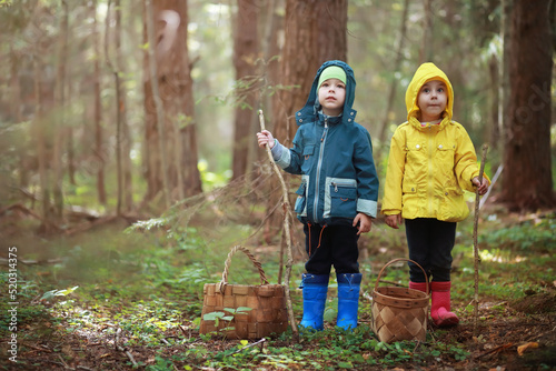 Children in the village walk through the autumn forest and gather mushrooms. Children in nature are walking in nature. Rural walk in autumn.