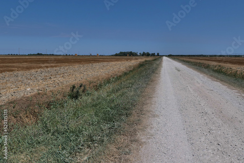 Strada sterrata in campagna  photo