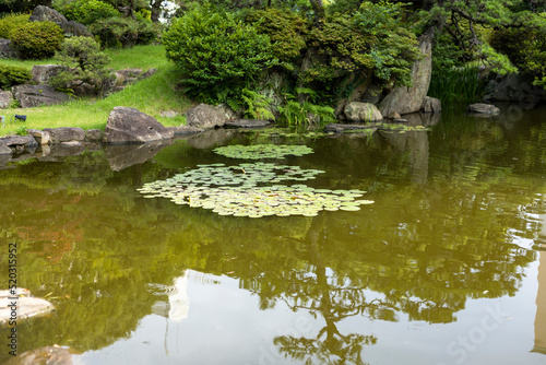 日本庭園 池