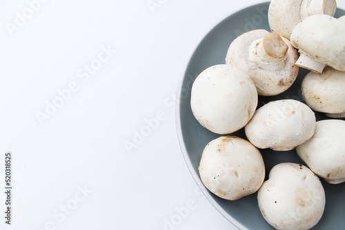 mushrooms on a white background. fruits from the forest. natural food. vegan food. mushrooms on a gray plate