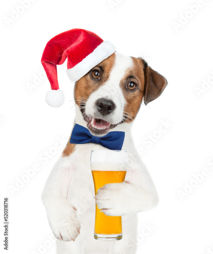 Jack russell terrier puppy wearing tie bow and santa hat holds glass of beer. isolated on white background © Ermolaev Alexandr