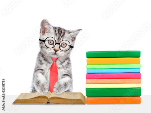 Funny kitten wearing eyeglasses and tie bow reads a book. isolated on white background