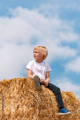 Portrait of little cute blond boy on haystack on blue sky background. Summer vacation. Vertical frame. Harvesting. © somemeans