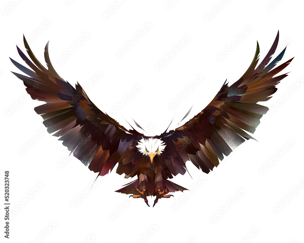 Fototapeta premium drawn colored bright bird eagle in flight on a white background