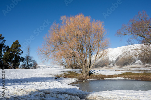 Wallpaper Mural Lake Camp in winter, Ashburton Lakes region, Canterbury. Torontodigital.ca