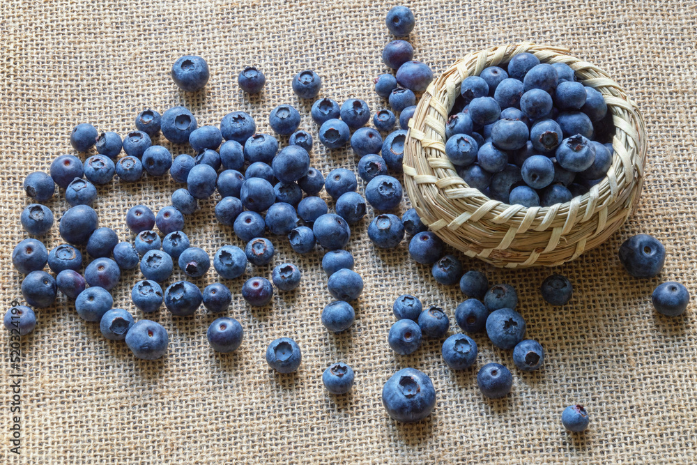 Fresh ripe whortleberries on sackcloth. Copy space Fresh ripe whortleberries on sackcloth. Copy space