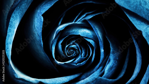 Close-up animation roses. Macro animation of cyclic movement of rosebud unwinding. Beautiful and colorful graphic animation of natural beauty of rose bud